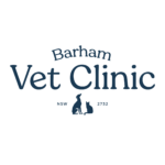 Navy BVC Logo