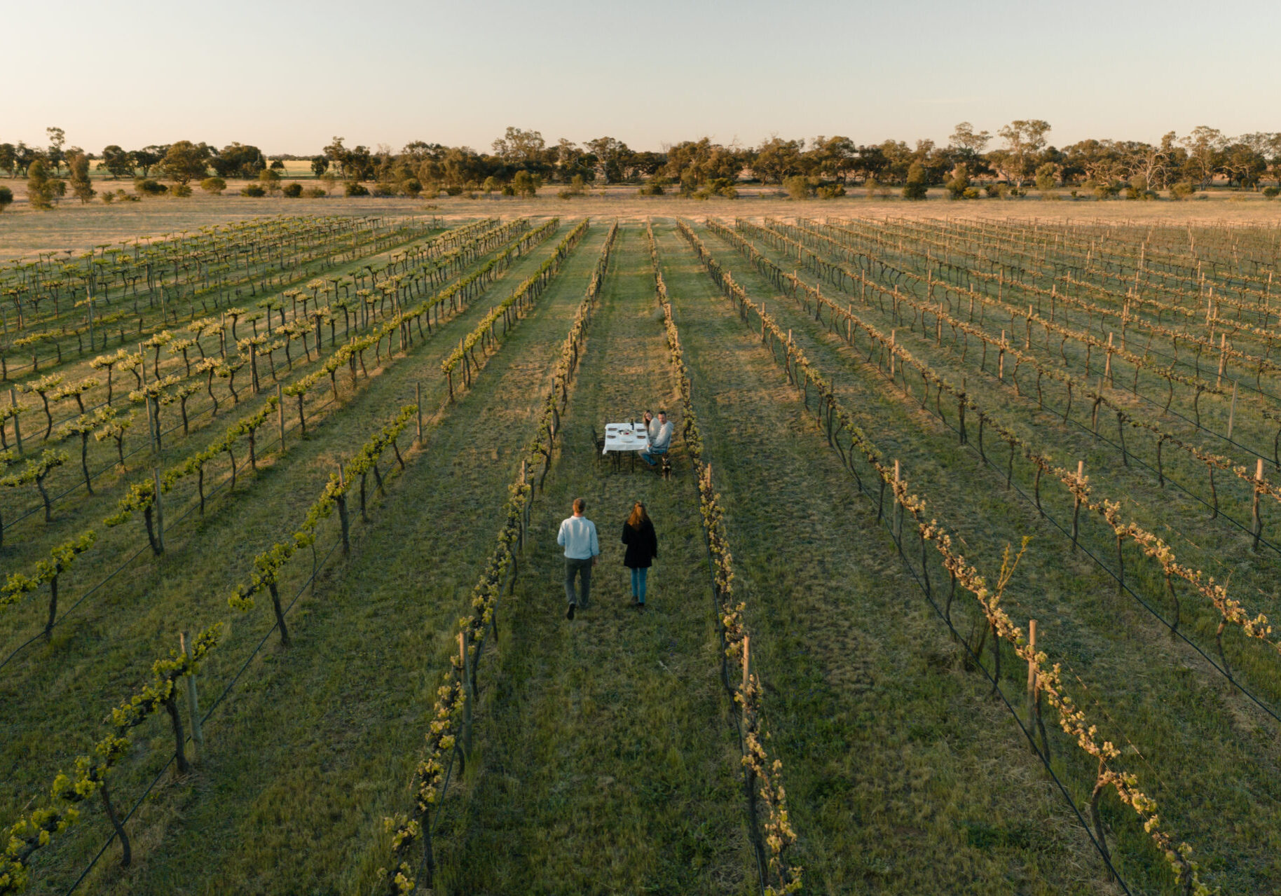 Restdown Wines, Caldwell