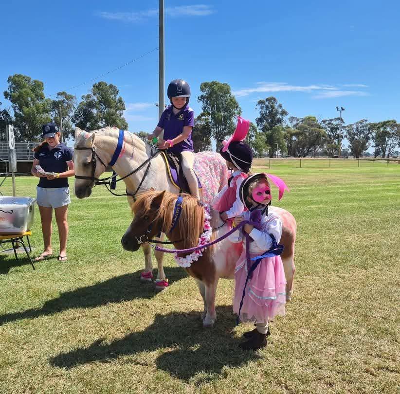 Inbound4369010846502254889